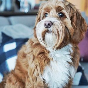 Meet your Posher, Sean